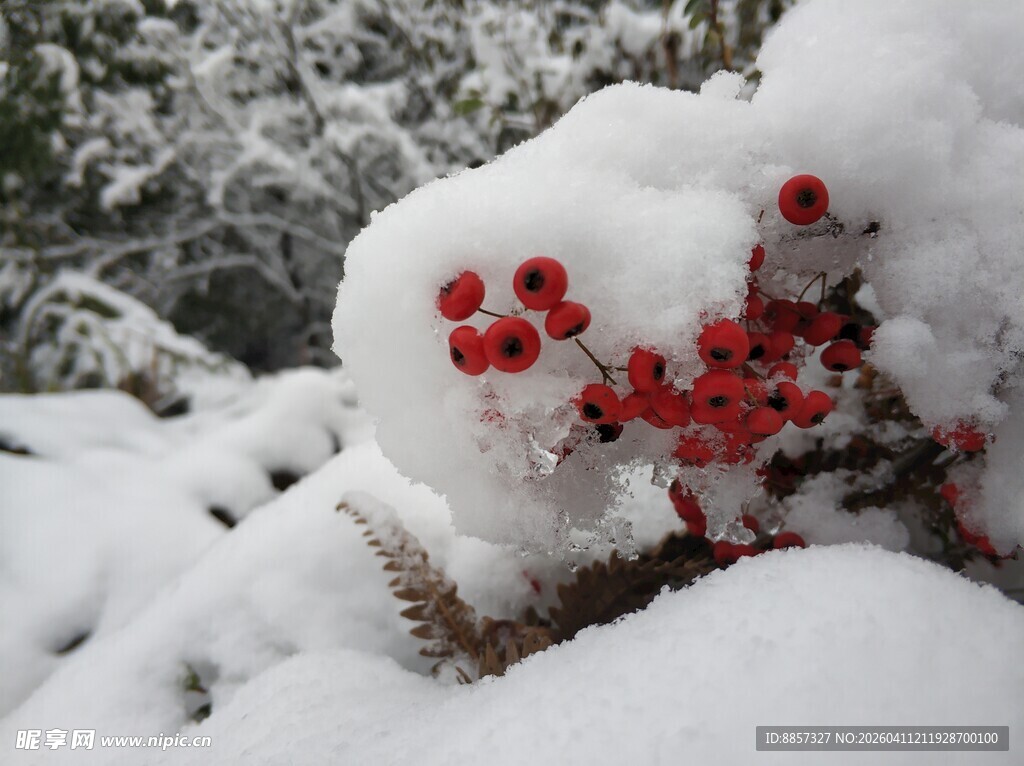 2021年的第一场雪