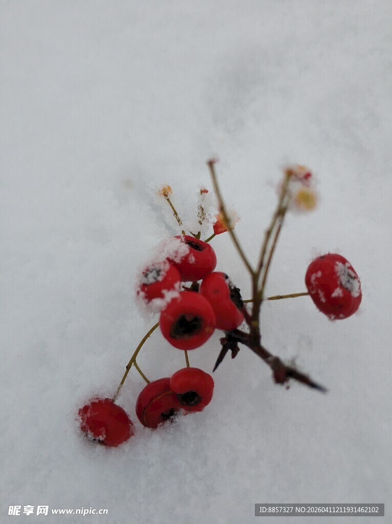 2021年的第一场雪