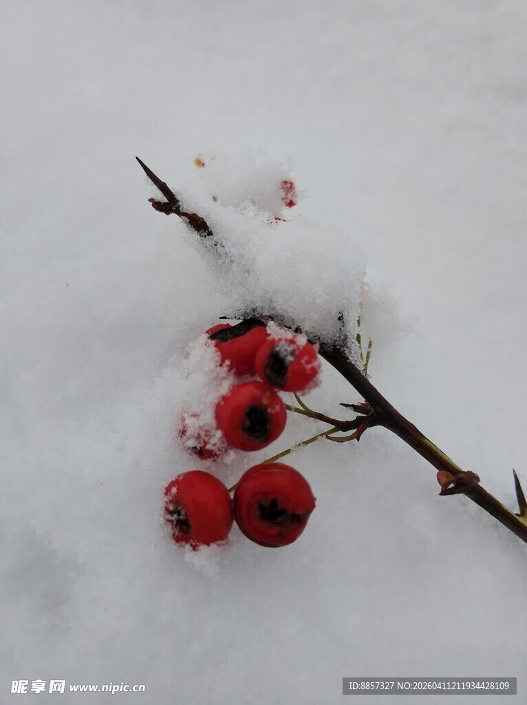 2021年的第一场雪