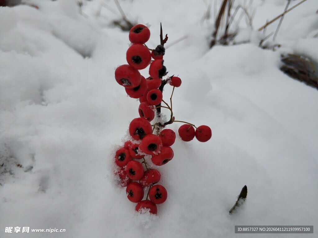 2021年的第一场雪