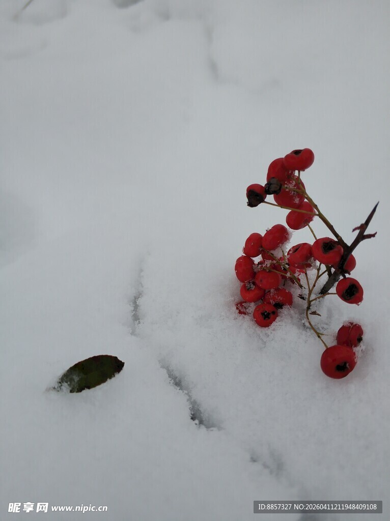 2021年的 第一场雪
