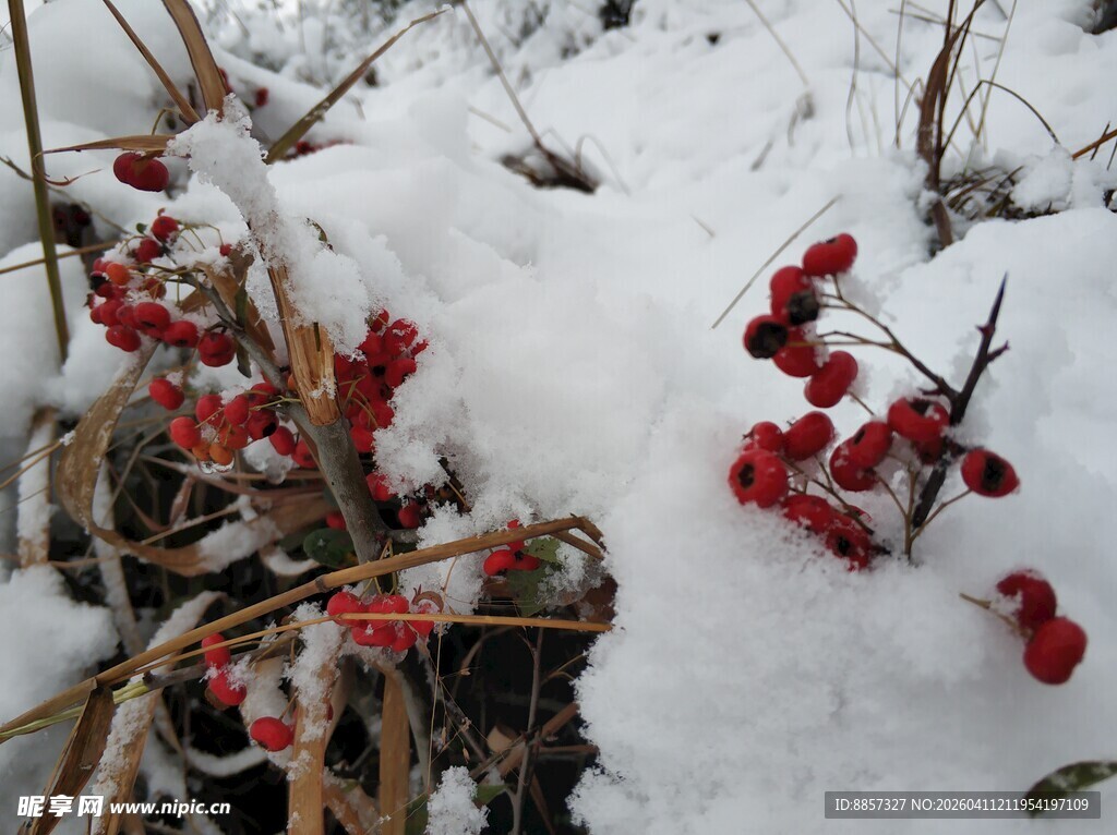 2021年的 第一场雪