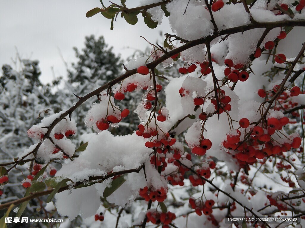 2021年的第一场雪