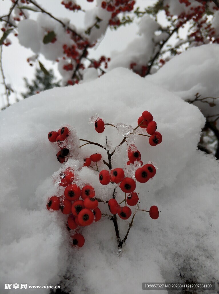 2021年的第一场雪