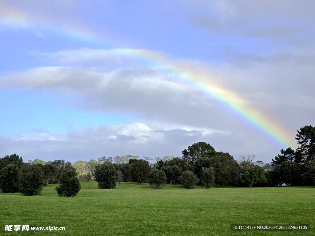 草地上空的绚丽彩虹