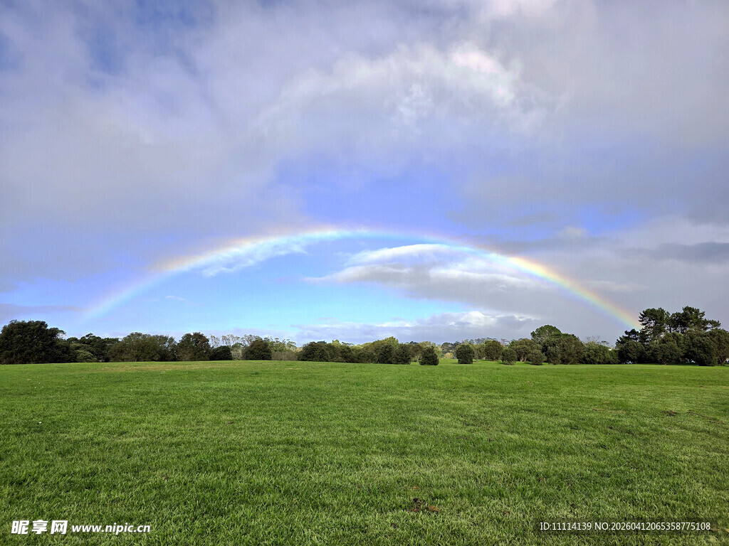 草原上空的绚丽彩虹