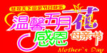 温馨五月感恩母亲节