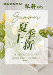 夏季上新