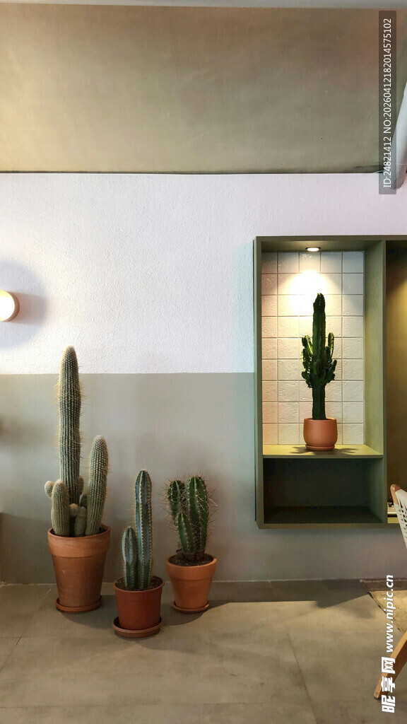 室内仙人掌绿植装饰景观
