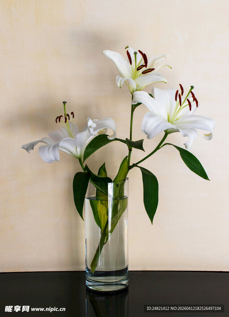 花瓶中的优雅白色百合花