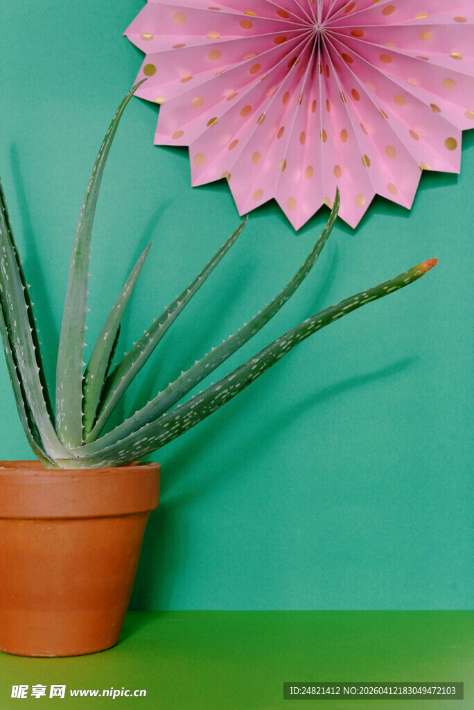 粉色纸艺与绿植盆栽搭配
