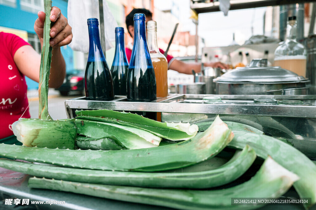 工人处理海带场景