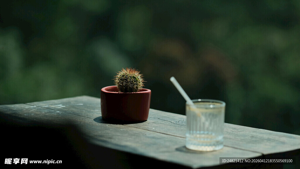 窗边仙人掌与透明玻璃杯