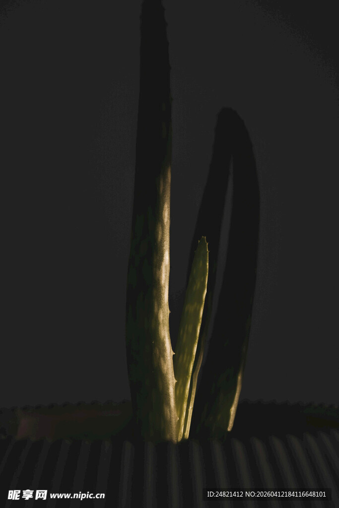 抽象光影雕塑艺术作品