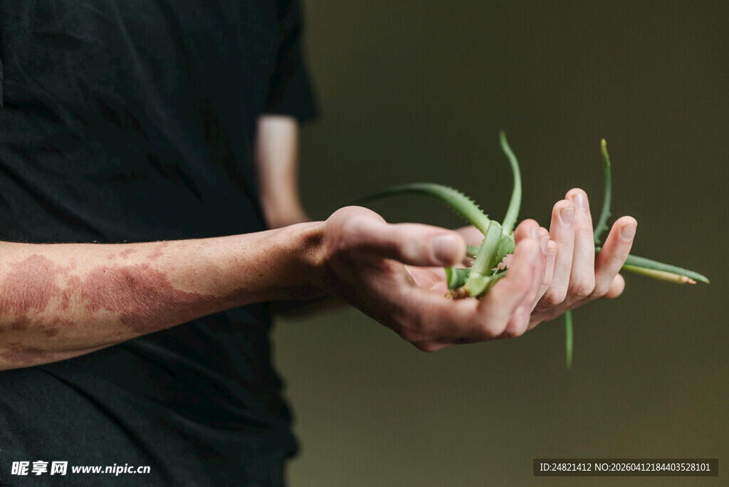 手中的翠绿植物