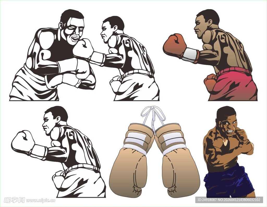 拳击运动形象与装备展示