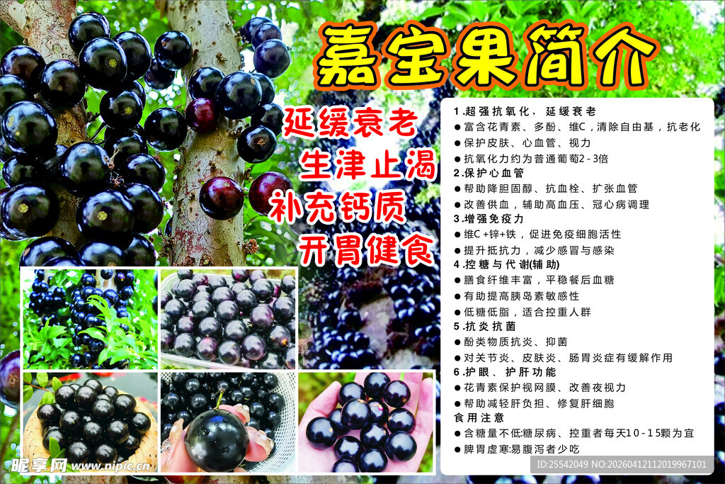 嘉宝果