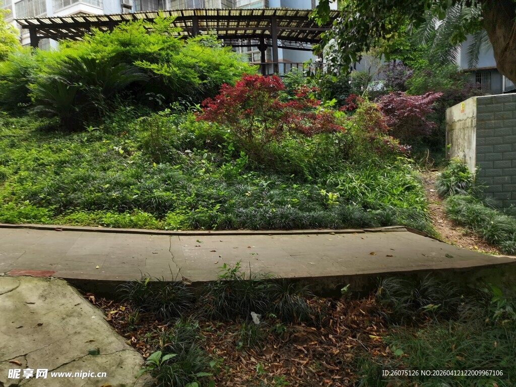 庭院绿植景观小径一角