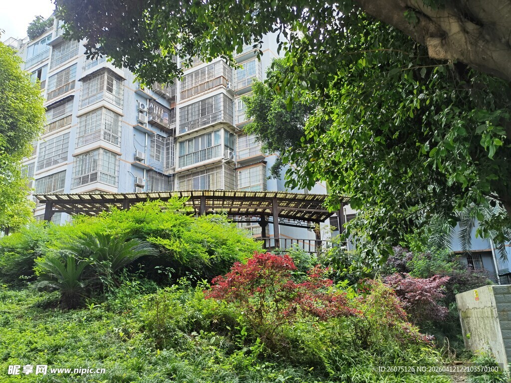 绿植环绕的雅致建筑景观