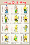 十二经络概略