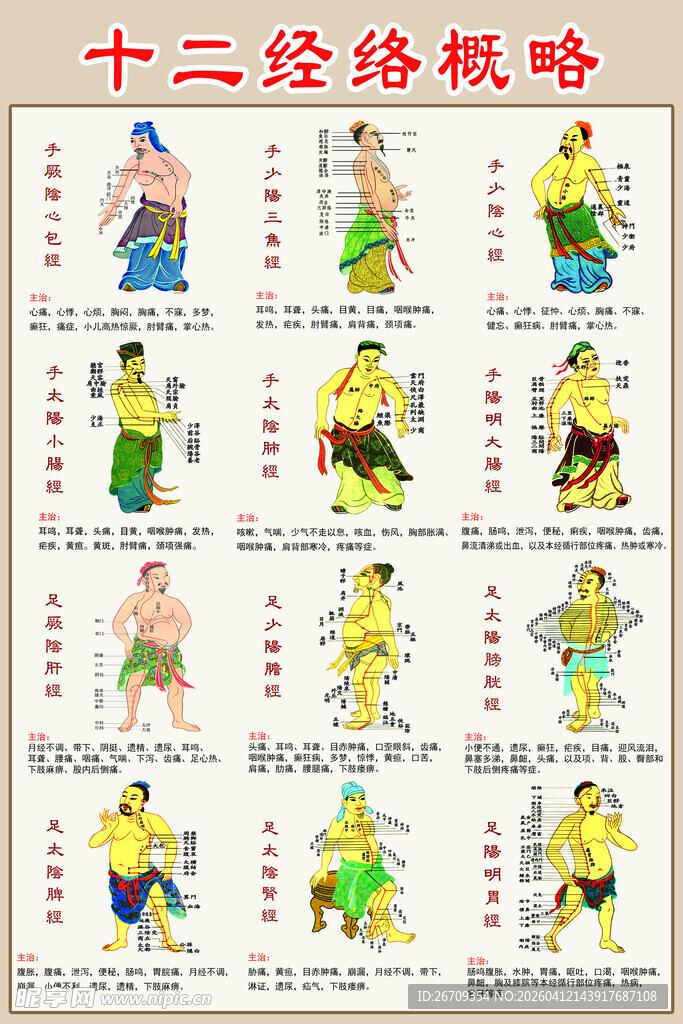 十二经络概略