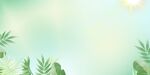 清新绿植背景图