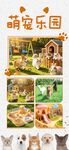 萌宠乐园多样精彩瞬间