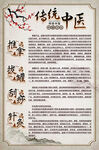 传统中医文化知识展示