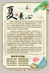 夏日养心知识宣传页
