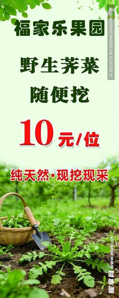 福乐果园野菜10元随便挖