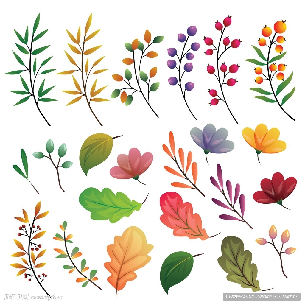 枝叶装饰素材