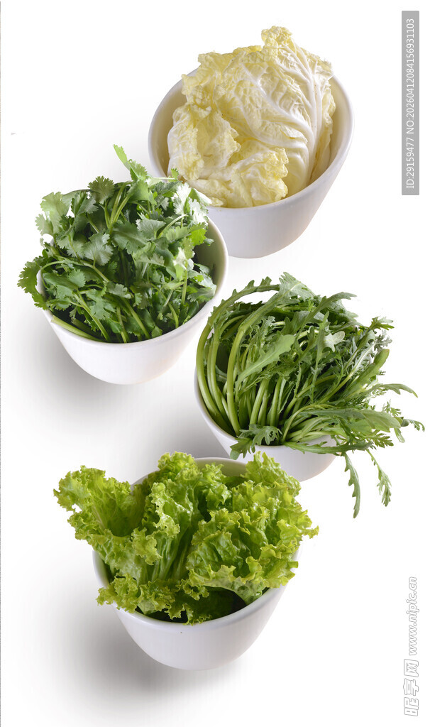 新鲜多样蔬菜组合