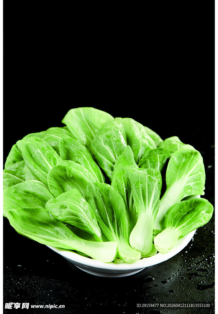 新鲜小白菜摆放在盘中