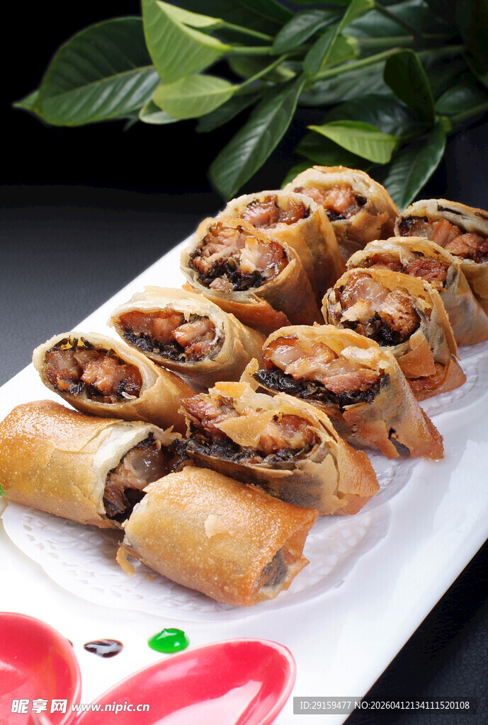 美味肉馅卷饼摆盘精致