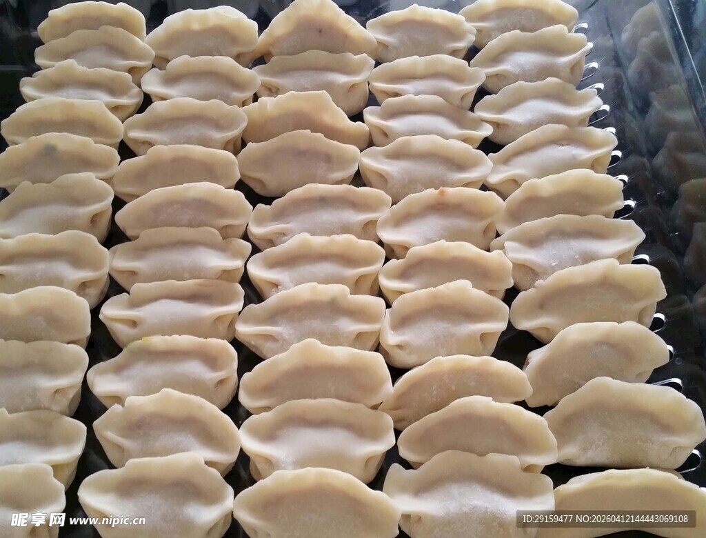 整齐摆放的手工饺子