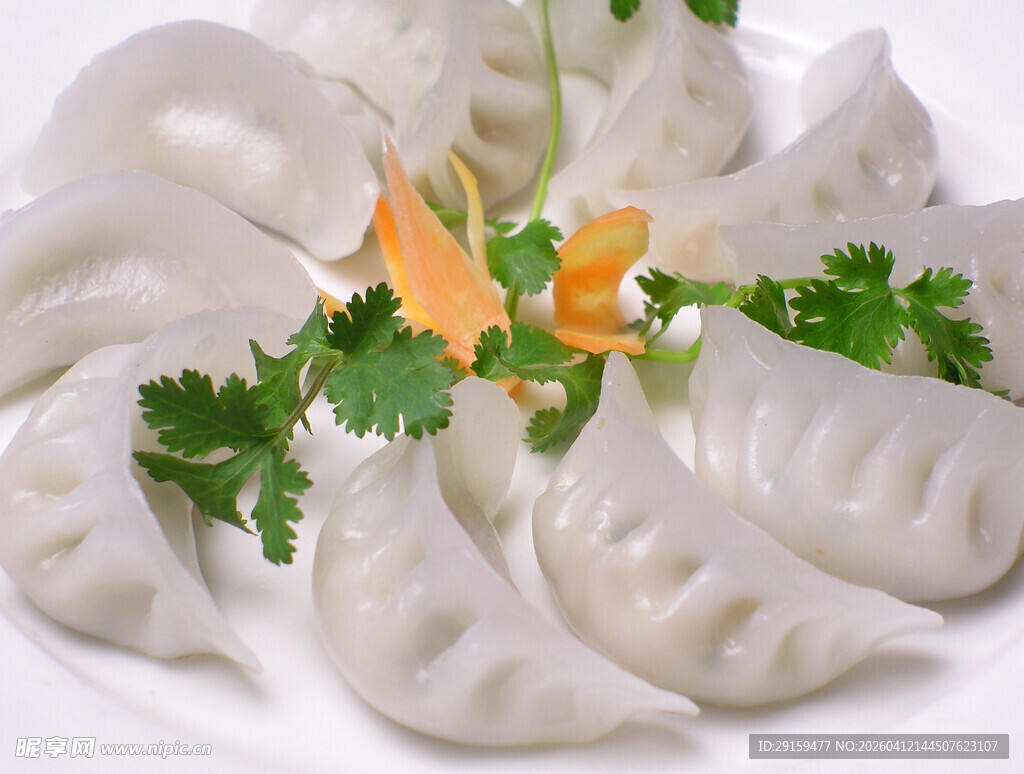 精致摆盘的美味饺子