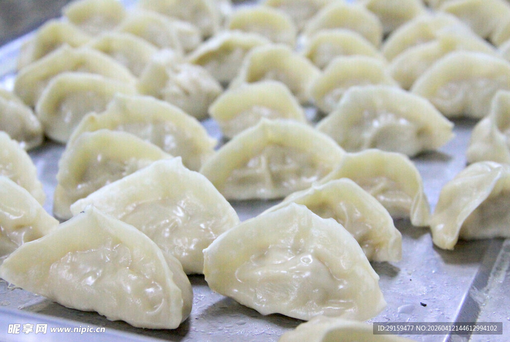 美味饺子整齐摆放