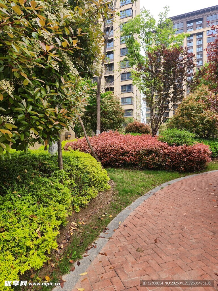 小区内的美丽绿植小径