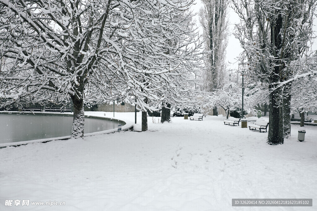 冬日雪景中的静谧林间小道