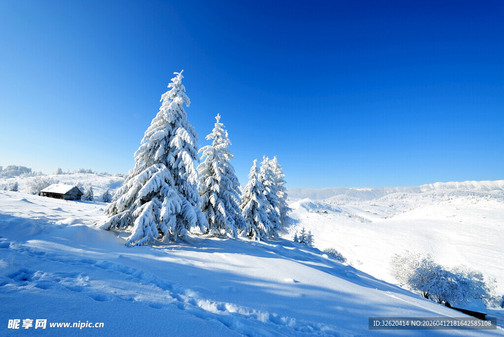 冬日雪覆山林美景