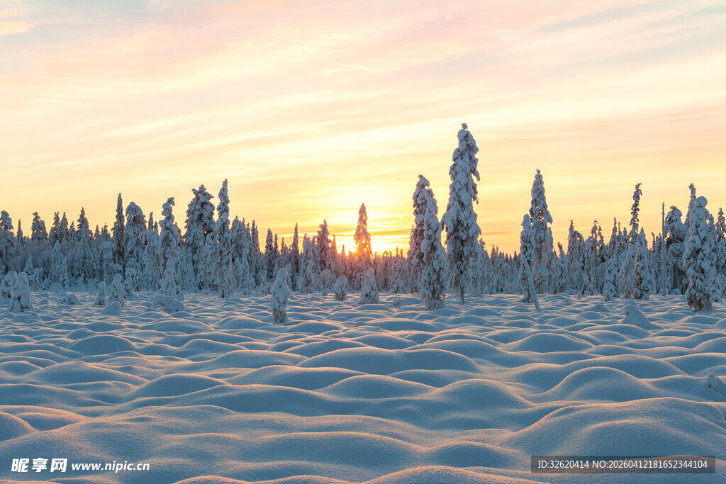 冬日雪林夕阳美景