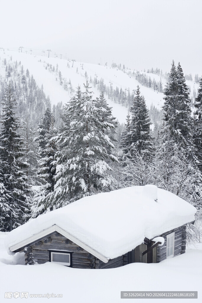 雪覆木屋与松林美景