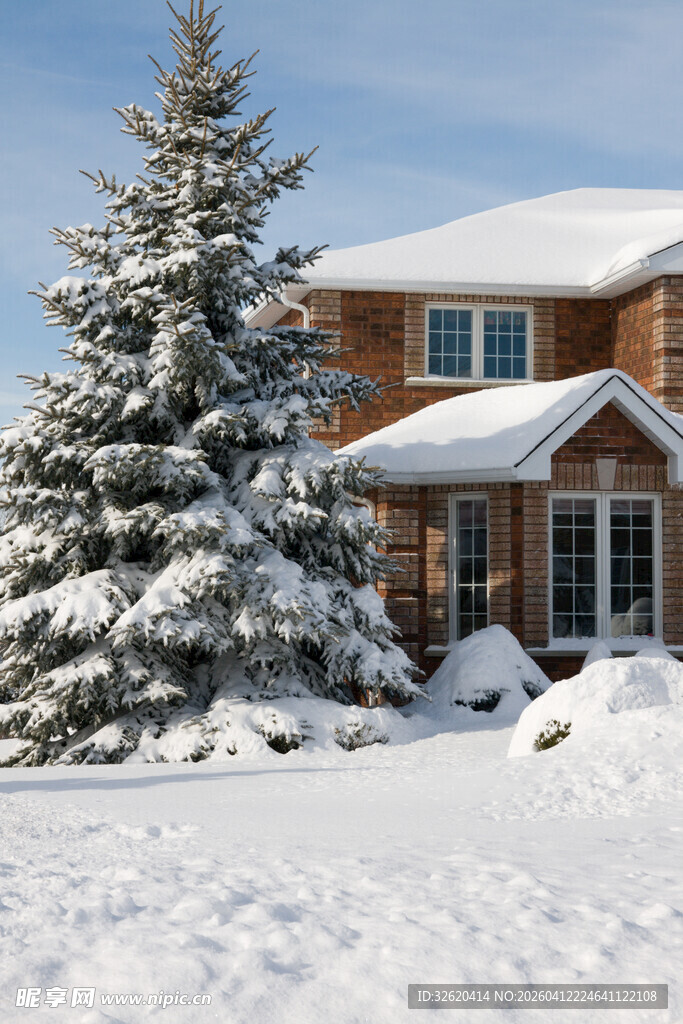 雪覆房屋与松树的冬日美景