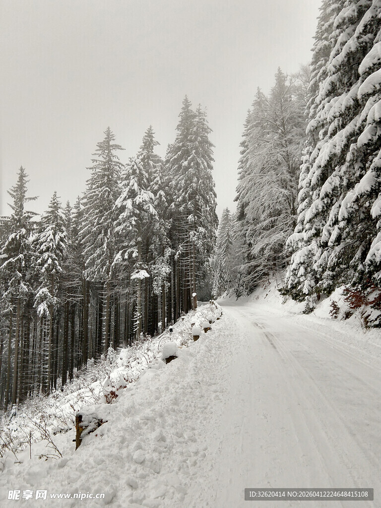 雪覆山林中的蜿蜒小路
