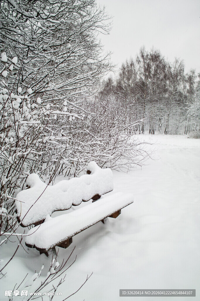 雪覆长椅的静谧冬日景象