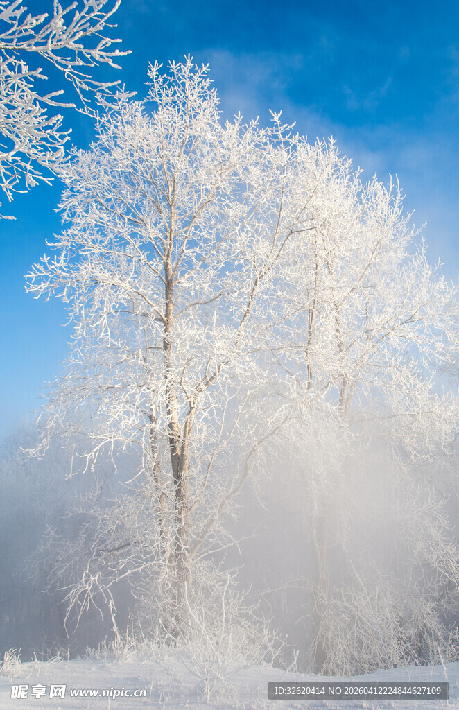 冬日雾凇美景