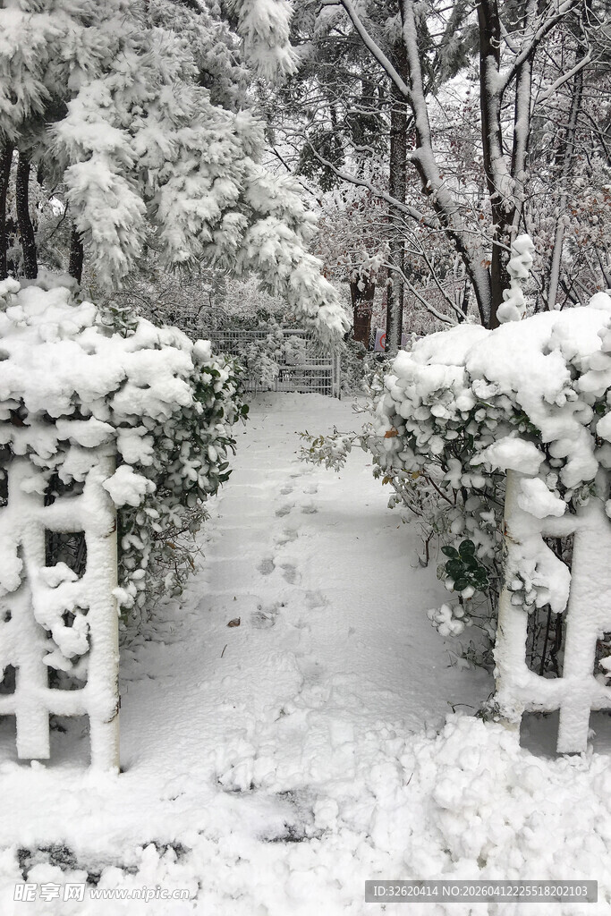 雪后园林小径美景