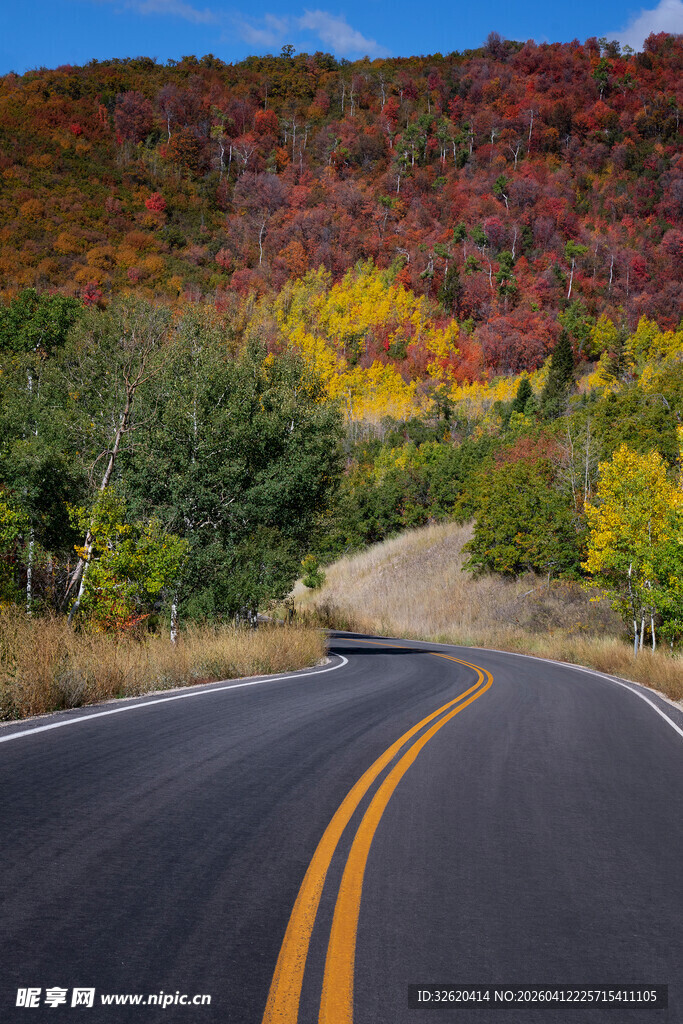 秋日蜿蜒公路的绚丽景致