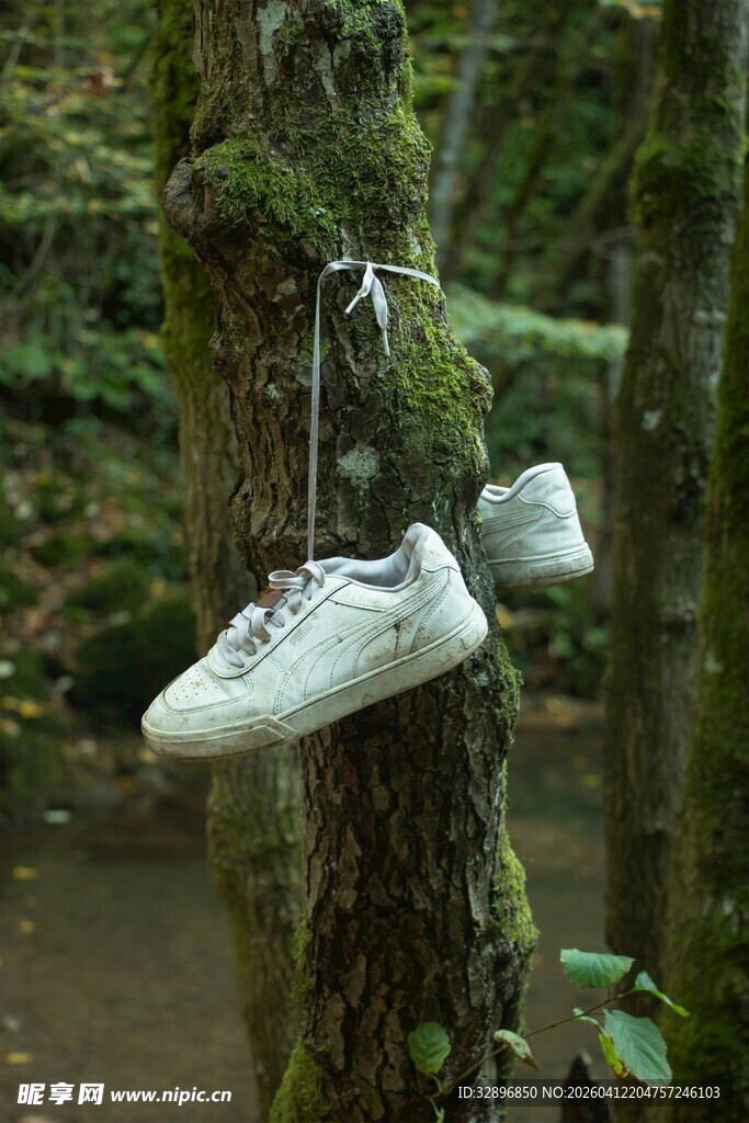 树上悬挂的旧运动鞋画面
