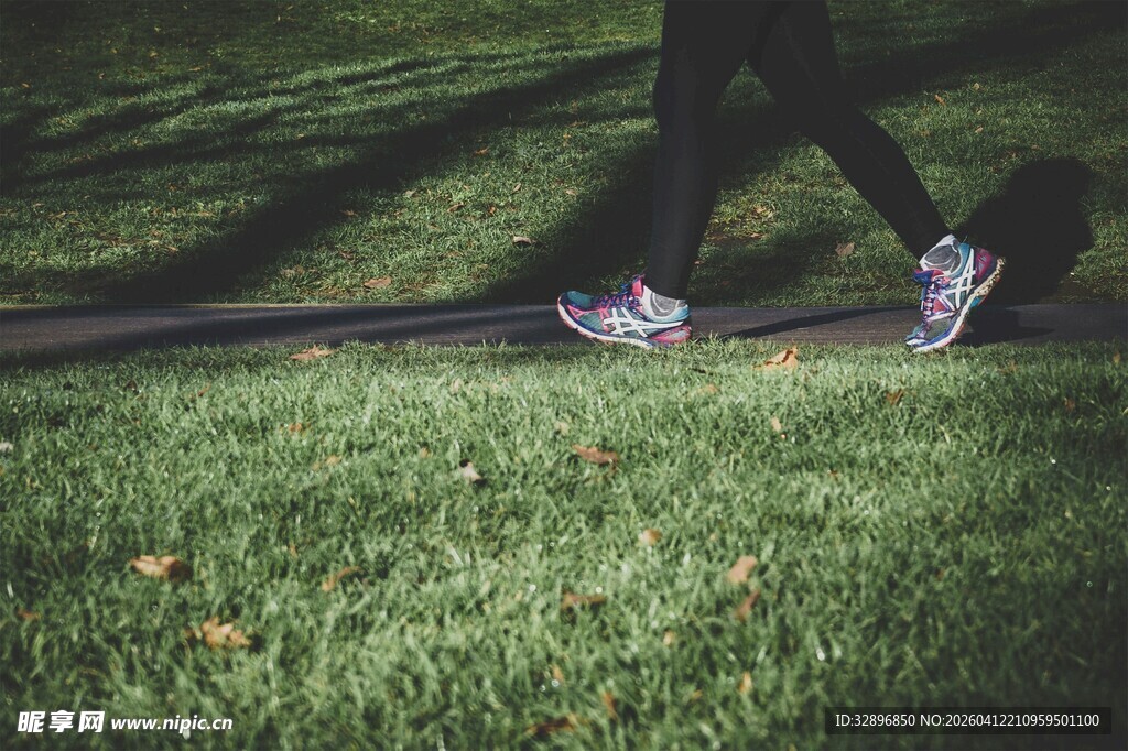 草地上的步行者